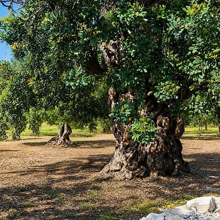 Frühstückspension Tenuta San Giovanni Trani