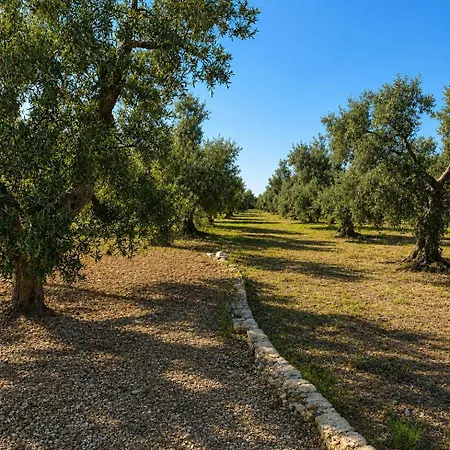 Bed & Breakfast Tenuta San Giovanni